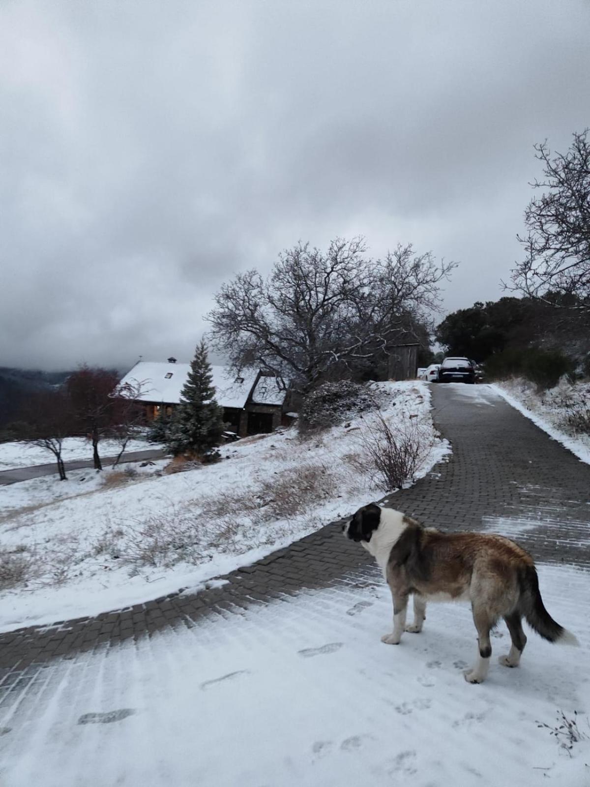Refugio Del Aguila "Casa Diaman" Konuk evi Guejar Sierra Dış mekan fotoğraf