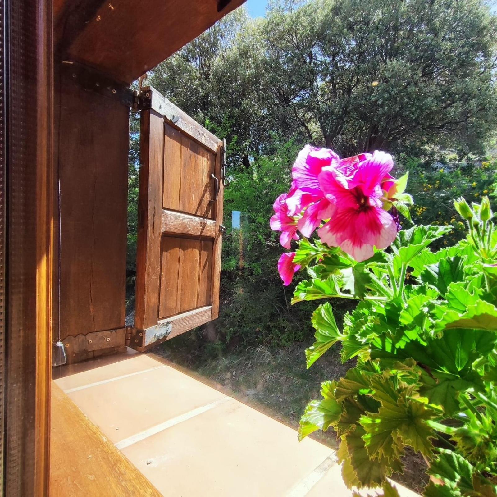Refugio Del Aguila "Casa Diaman" Konuk evi Guejar Sierra Dış mekan fotoğraf