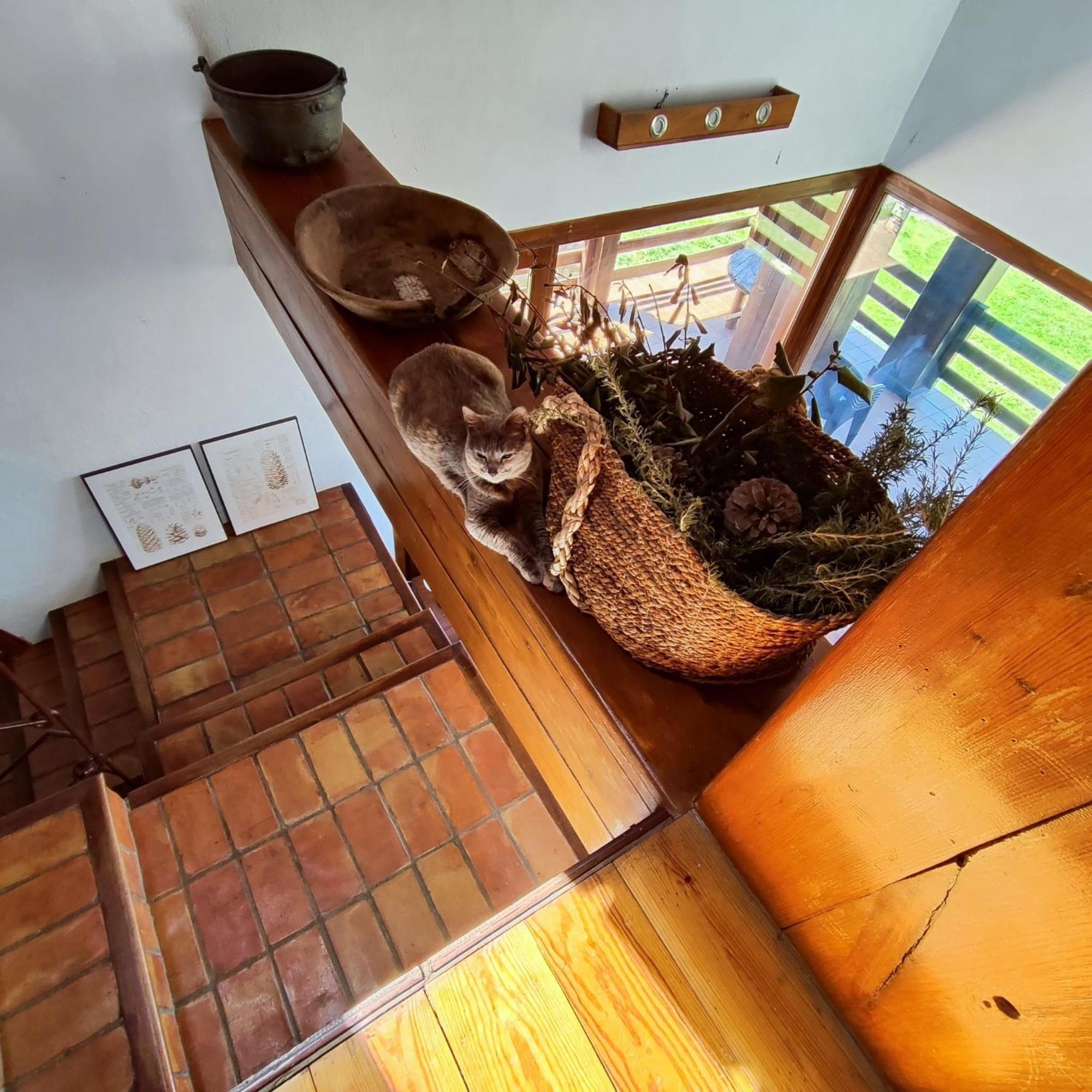 Refugio Del Aguila "Casa Diaman" Konuk evi Guejar Sierra Dış mekan fotoğraf