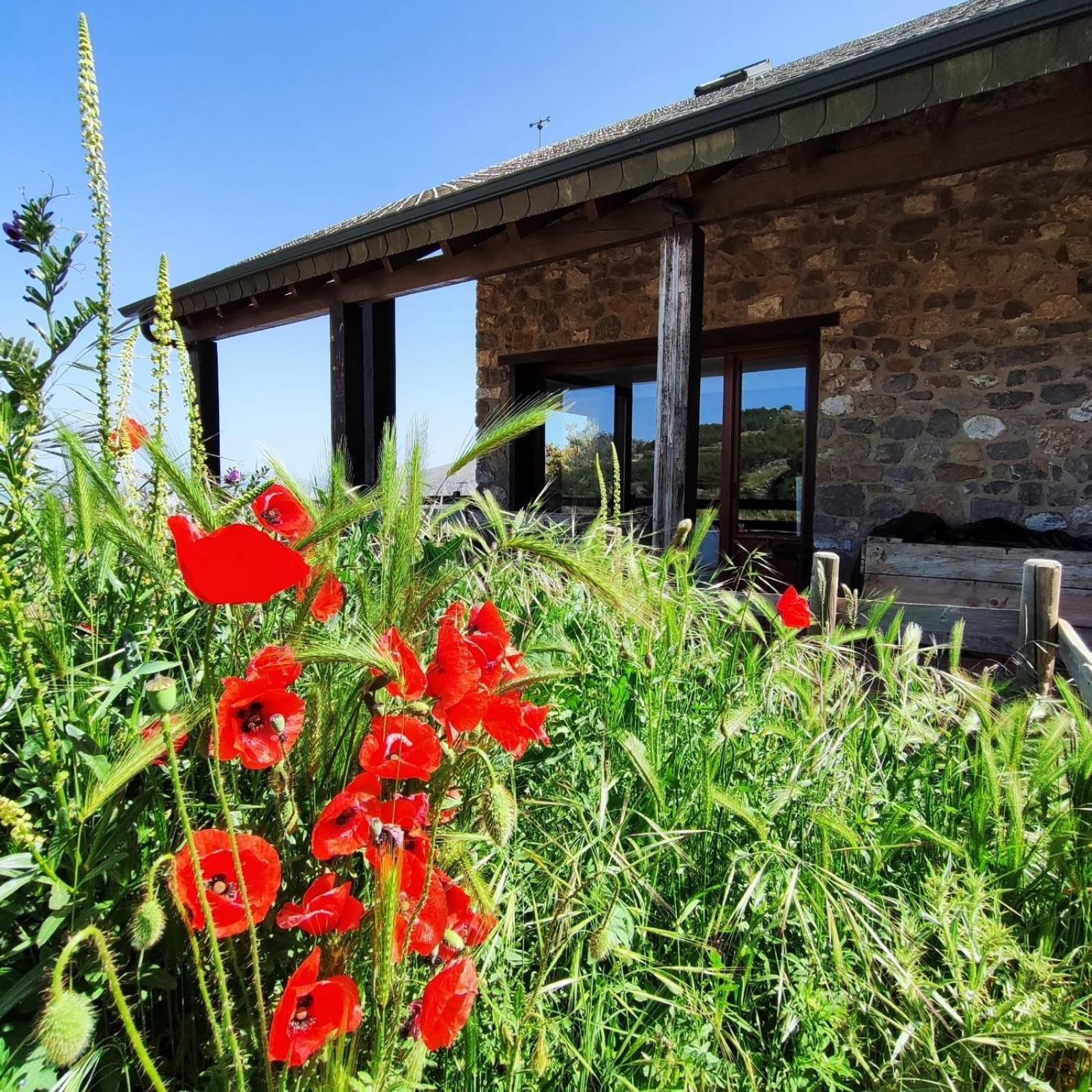 Refugio Del Aguila "Casa Diaman" Konuk evi Guejar Sierra Dış mekan fotoğraf